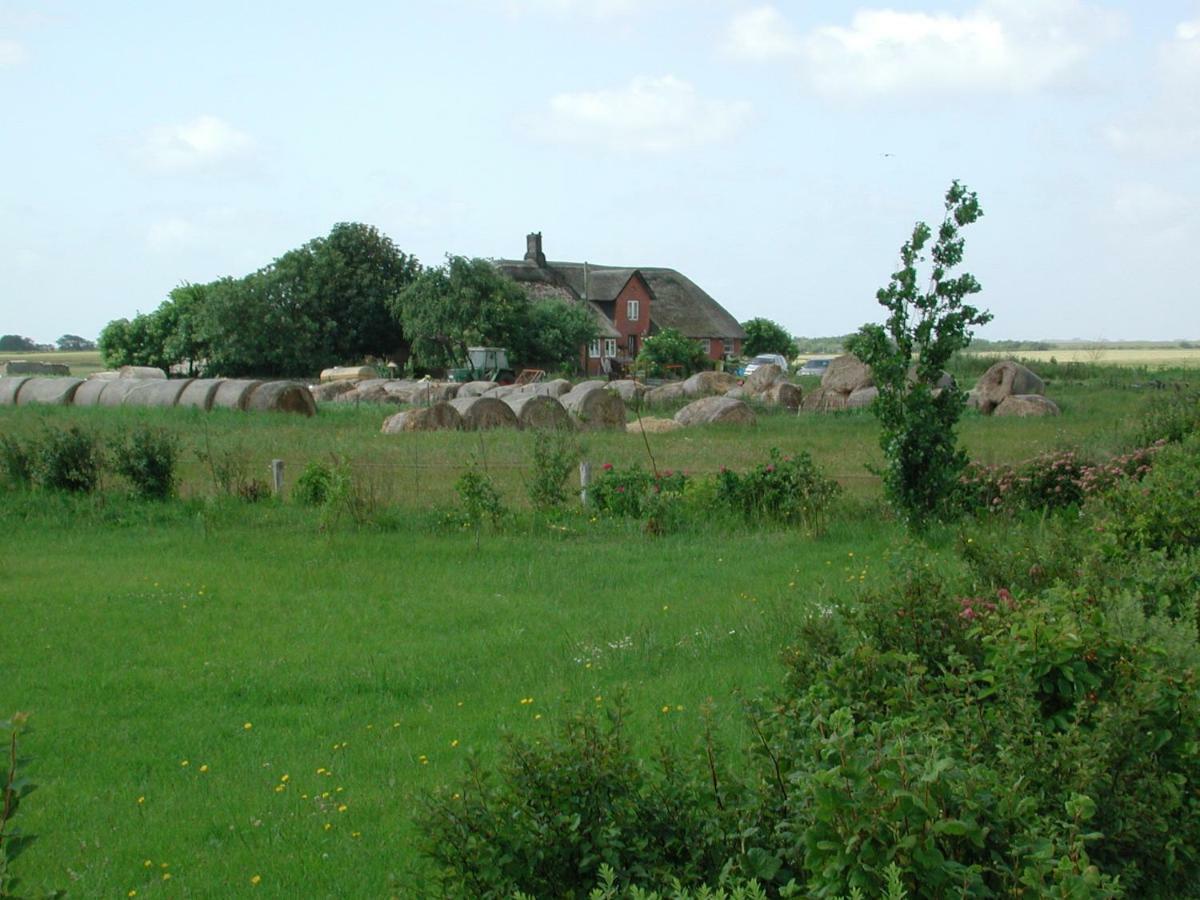Appartement Kayser Sylt Morsum  Exterior foto